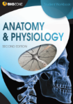 Show details for Anatomy & Physiology 2E Picture of Anatomy & Physiology 2E