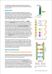 Picture of Biology - Levels of Life